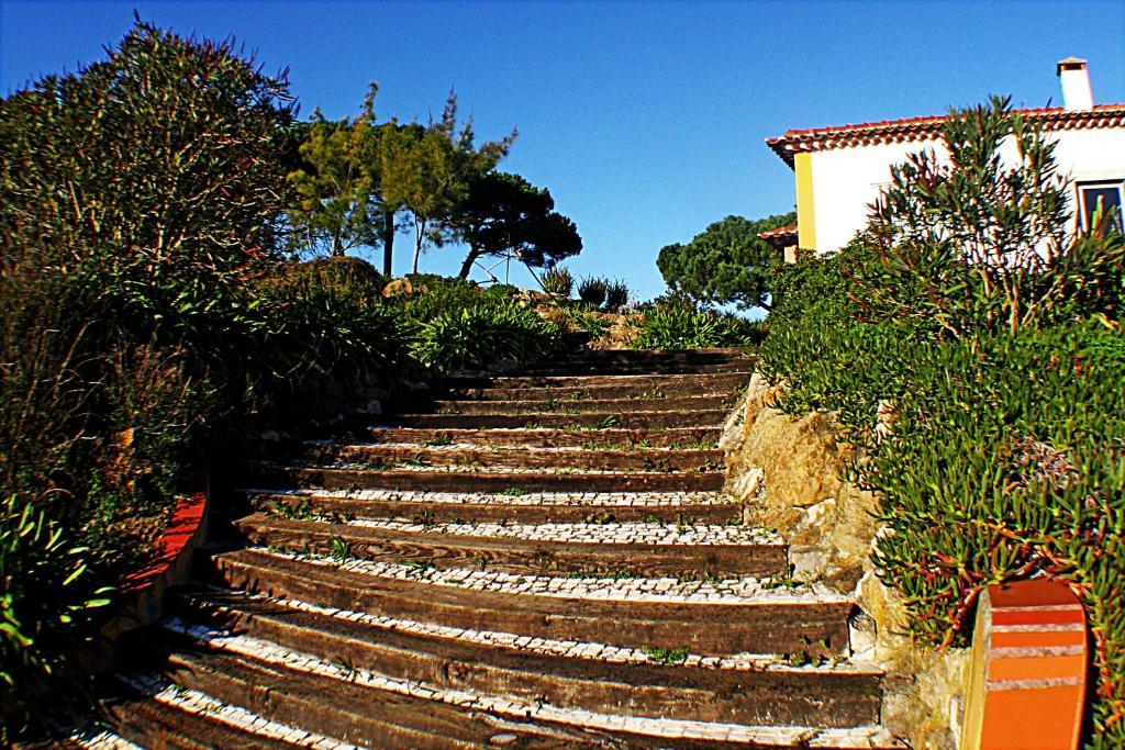 Quinta Da Torre - Obidos Country House Luaran gambar