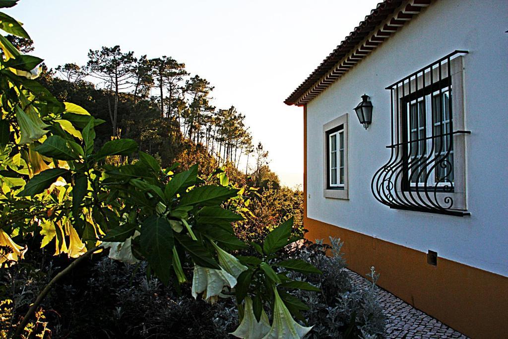 Quinta Da Torre - Obidos Country House Luaran gambar