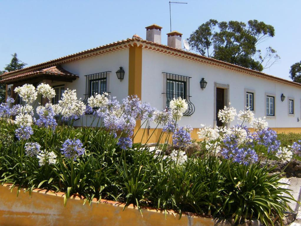 Quinta Da Torre - Obidos Country House Luaran gambar