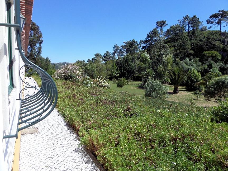 Quinta Da Torre - Obidos Country House Luaran gambar